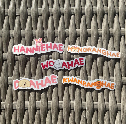 Seventeen | Miniteen “hae” stickers